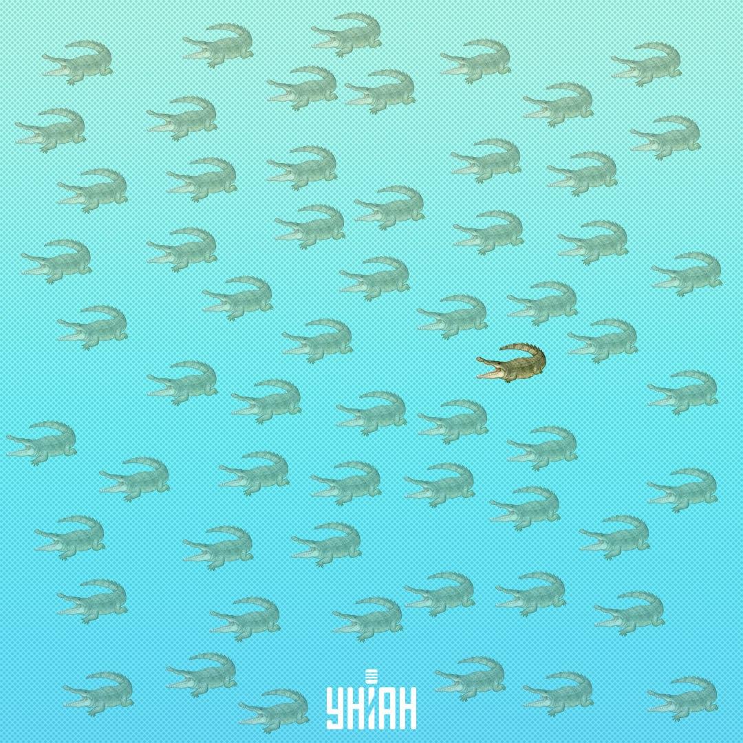 Powinien być znaleziony bliżej środka, po prawej stronie / Moje Collage