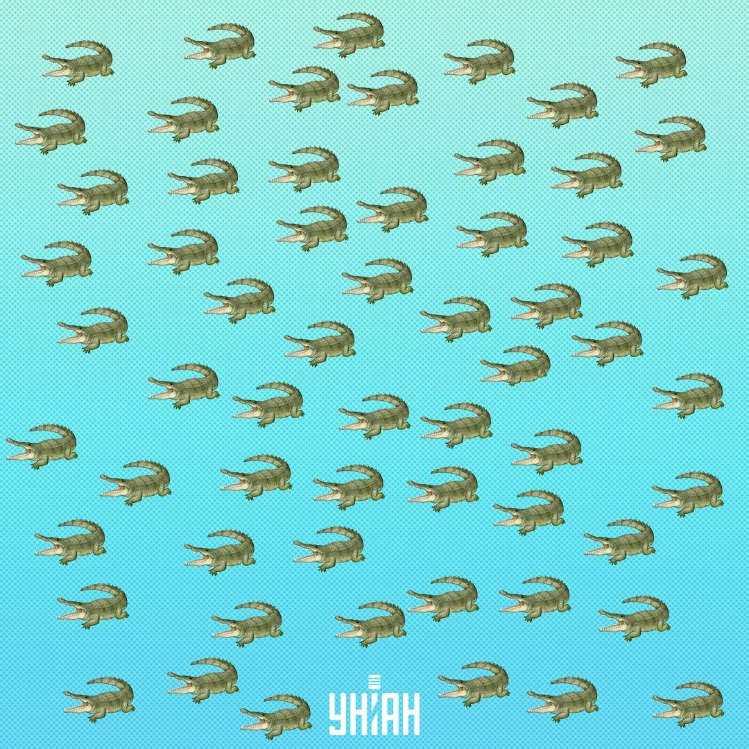 Gad jest ukryty, ale powinieneś go zobaczyć w 15 sekund / Collage Moje