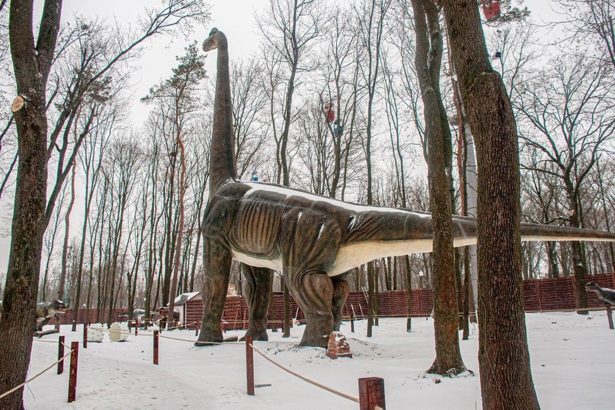 Znajdź psa na śniegu w 10 sekund / kolaż Moje