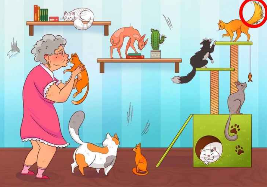 zdjęcie autorstwa Brightside