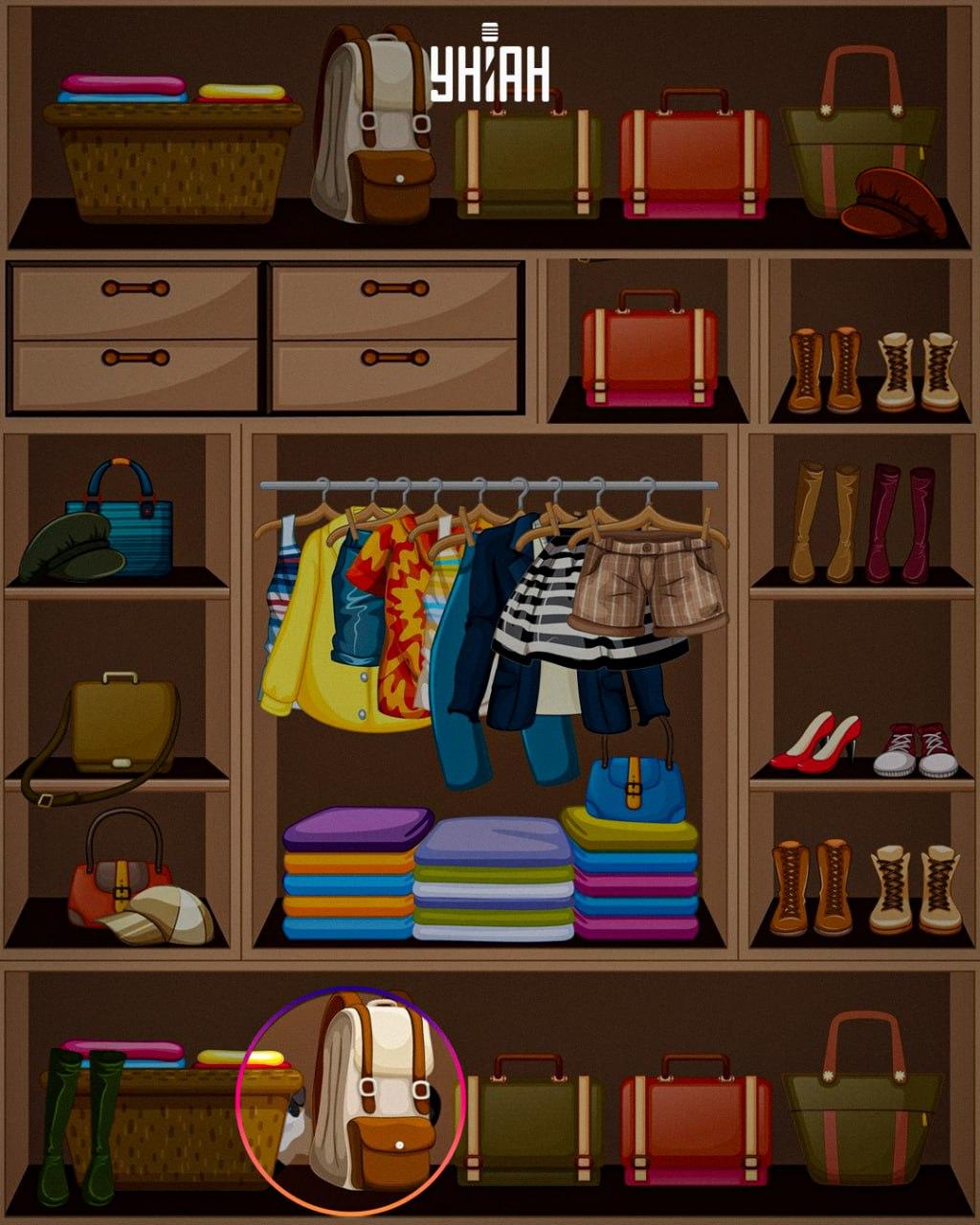 Przebiegłe zwierzę zostało umieszczone na dole obrazu / kolaż Moje