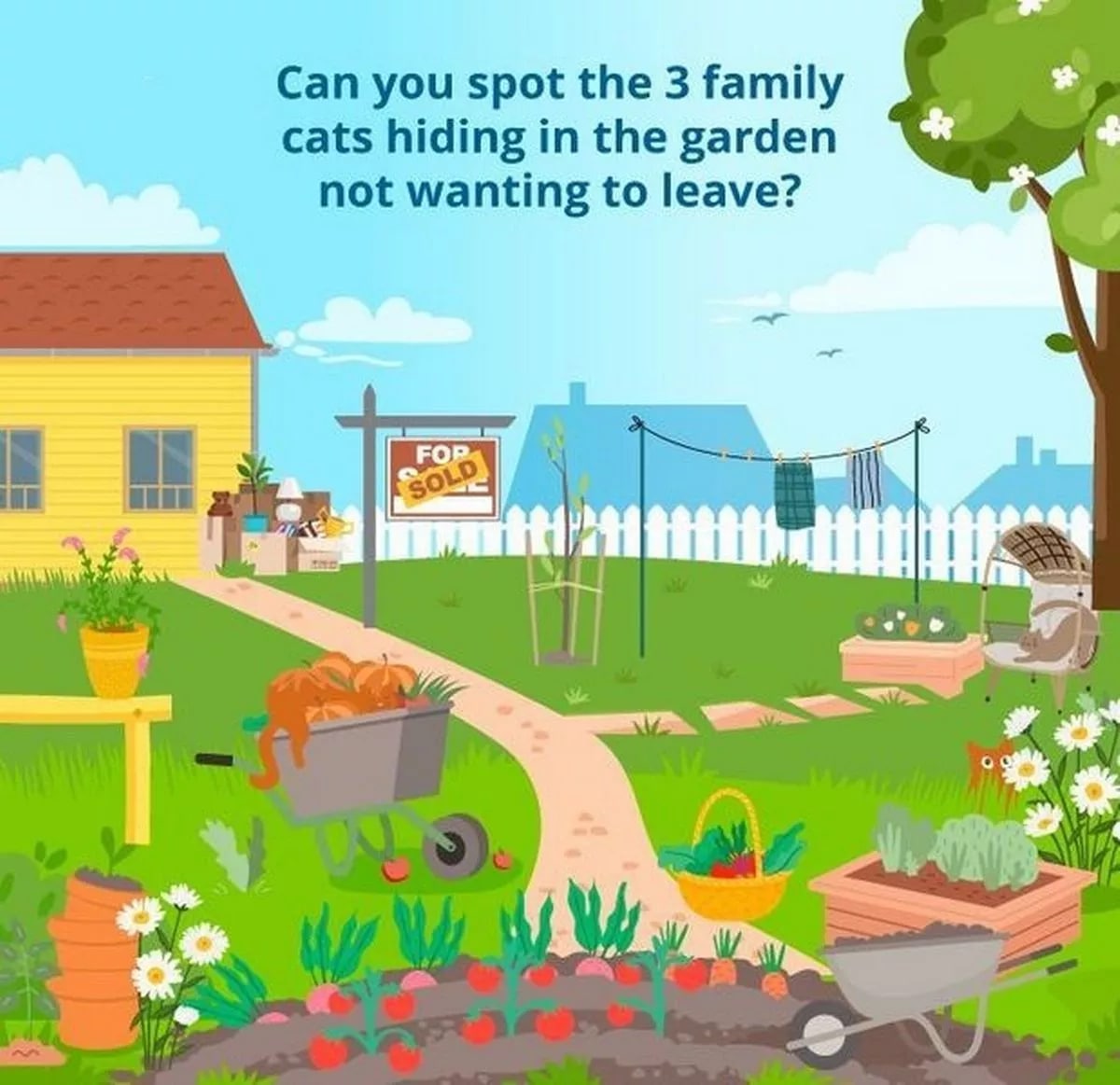Na tym obrazku ukrywają się trzy przebiegłe koty