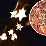 Iluzja optyczna dla osób o orlim wzroku: musisz znaleźć gwiazdę