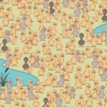 Łamigłówka dla zabawnych i zaradnych: musisz znaleźć kurczaka w 7 sekund. Łamigłówka dla zabawnych i zaradnych: musisz znaleźć kurczaka w 7