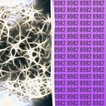 Prosty test IQ: znajdź dodatkową liczbę w 9 sekund Prosty test IQ: znajdź dodatkową liczbę w 9 sekund