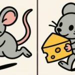 Super łamigłówka: znajdź 3 różnice na obrazku myszy z serem