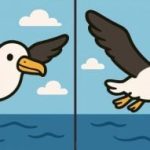 Test IQ: znajdź 3 różnice na zdjęciu lecącego ptaka w 31 sekund Test IQ: znajdź 3 różnice na zdjęciu lecącego ptaka w